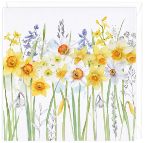 Daffodils Flower Greeting Card